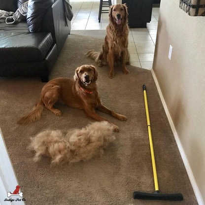 Pet Hair Removal Broom - Extends to 5FT